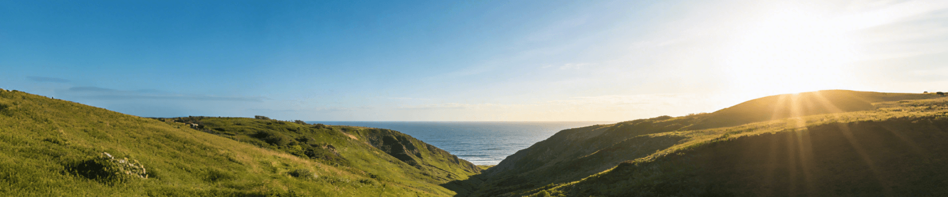 聚万宠同心，启发展新程